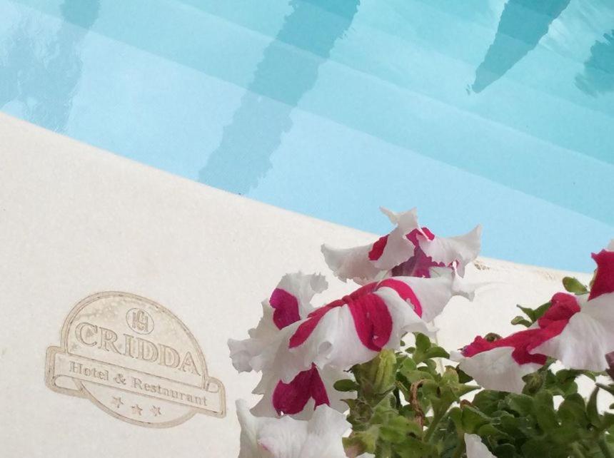 Cridda Hotel & Restaurant Gizzeria Ngoại thất bức ảnh